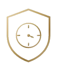 Schaubguard